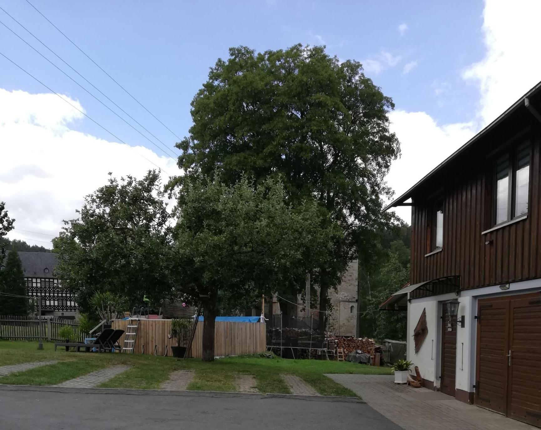 Fewo An Der Klosterruine Paulinzella Mit Kostenfreien Parkplatz Und Wlan Dış mekan fotoğraf